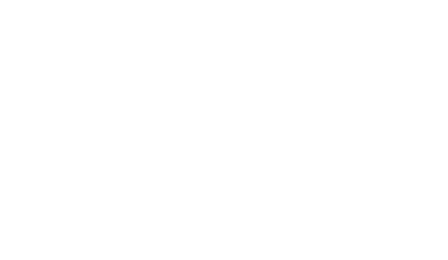 Wirral Met Footer Logo